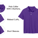 Grape (5-Pack) 4 10-Pack School Uniform Tagless Polo Tshirt for Little Boys & Big Boys